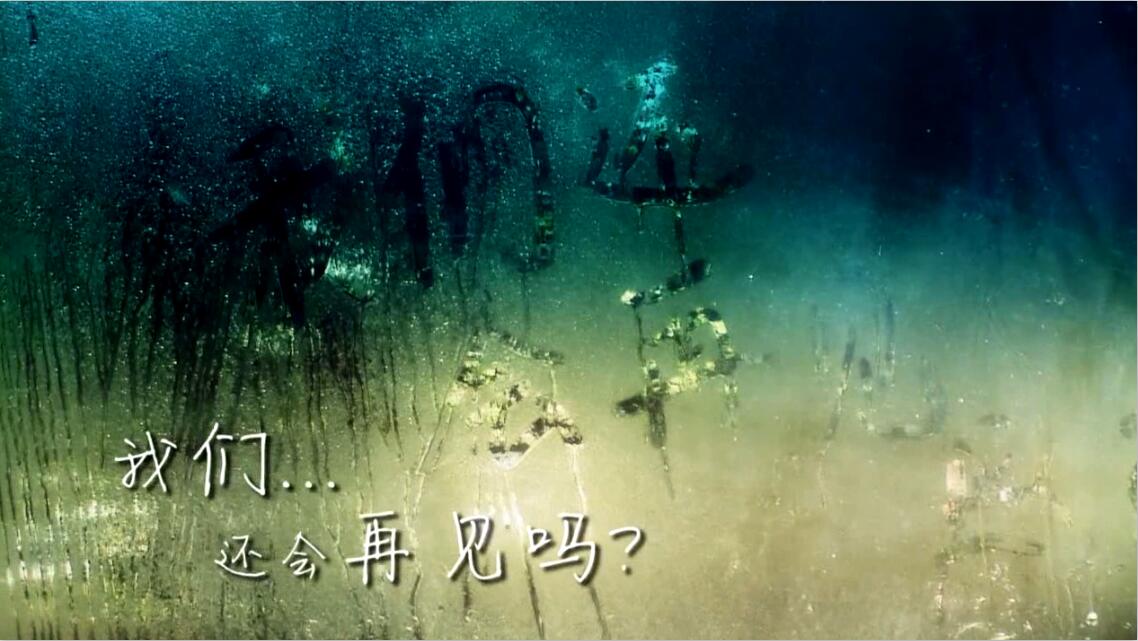 &#21322;&#23707;&#32593;&#39029;&#29256;&#45;&#21322;&#23707;&#98;&#97;&#110;&#100;&#97;&#111;&#65288;&#20013;&#22269;&#65289;